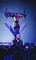 Undertaker 281921