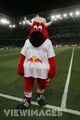 RED BULL SALZBURG  279703