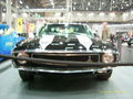 Musclecars 291654