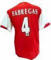 Fabregas wir lieben dich 282414