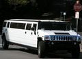 Hummer 286333