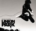 LinKin ParK 302683