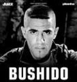 BuShIdO_4  EvEr 296260