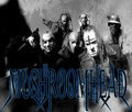 Mushroomhead 298498