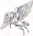 Treue Pegasuse 303710