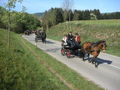 Georgirit in Geboltskirchen 2007 303290