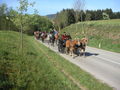 Georgirit in Geboltskirchen 2007 303291