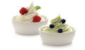 Frozen Yogurt 303391