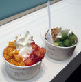 Frozen Yogurt 303392