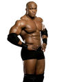 wwe bilder 352695