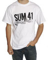 sum 41 309509