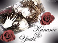 Vampire Knight 331981