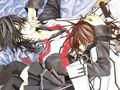 Vampire Knight 331982