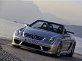 CLK-63-AMG W209 Cabriolet DTM 334142