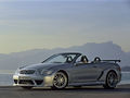 CLK-63-AMG W209 Cabriolet DTM 334147