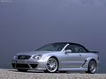 CLK-63-AMG W209 Cabriolet DTM 334150