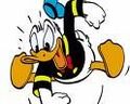 Donald duck ! 343544