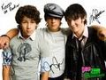 jonas brothers 359550