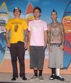 Blink 182 377224