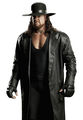 The Undertaker 380544