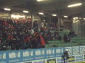 FC Pasching  - GAK  688615