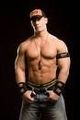 John Cena,Undertaker,Triple H 387811