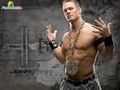 John Cena,Undertaker,Triple H 387814