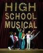 High School Musical +cast 51000