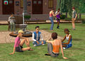 sims2 439174