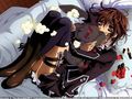 Vampire Knight 444984