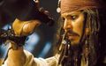 Captain Jack Sparrow 445969