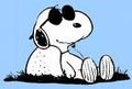 snoopy und pfirsich  465560