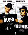 The Bluesbrothers 475498