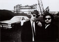 The Bluesbrothers 475499