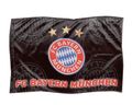 Bayern 479694