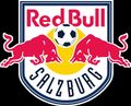 Red Bull 527958