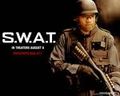 SWAT 528020