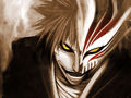 Bleach 545547