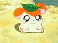 Hamtaro 591982