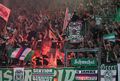 RAPID WIEN-Since_1899 533659