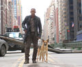 I am Legend  553535