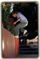 rodney mullen 563498