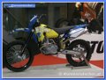 Die Bike 2008 191156