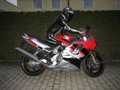 SuperDuke R 149557