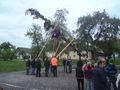 Maibaum 600000