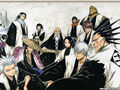 Bleach 643250