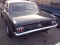 Mustang 588083