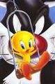 Tweety und so! 595382