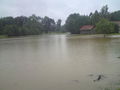 hochwasser juni 2009 633799