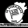 SK Sturm Graz 234953